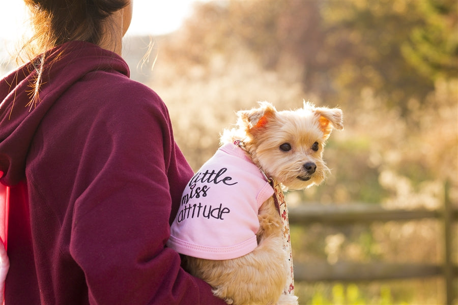 Little Miss Attitude Pet T-Shirt