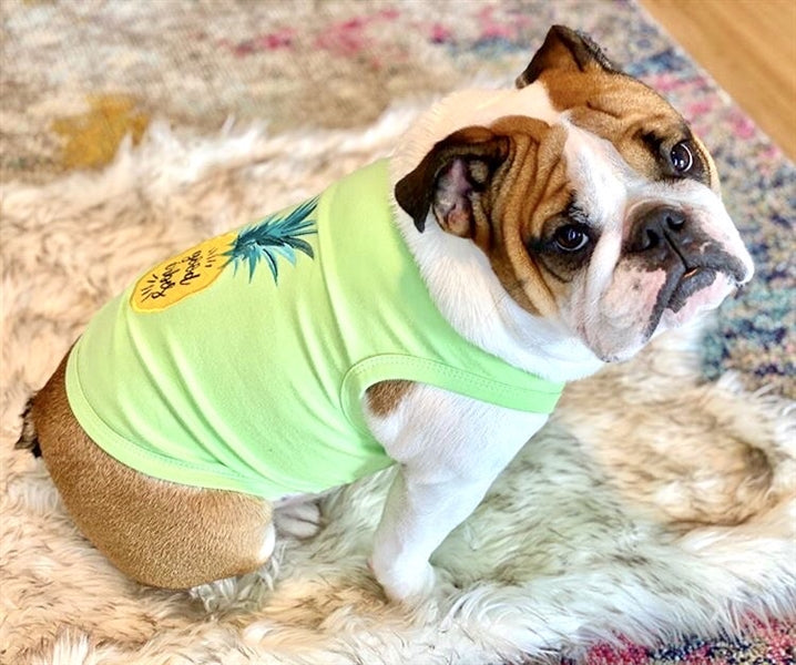 Good Vibes Green Pineapple Dog T Shirt