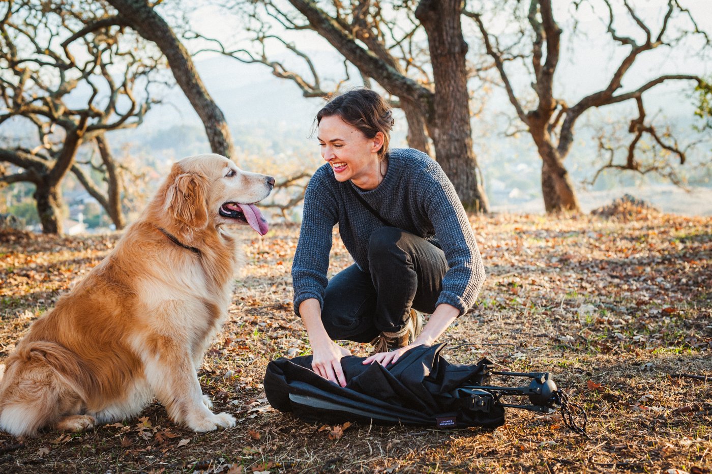 Outdoor Dog Tent - Moss