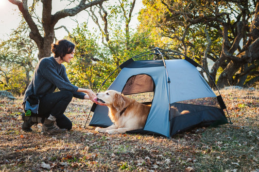 Outdoor Dog Tent - River