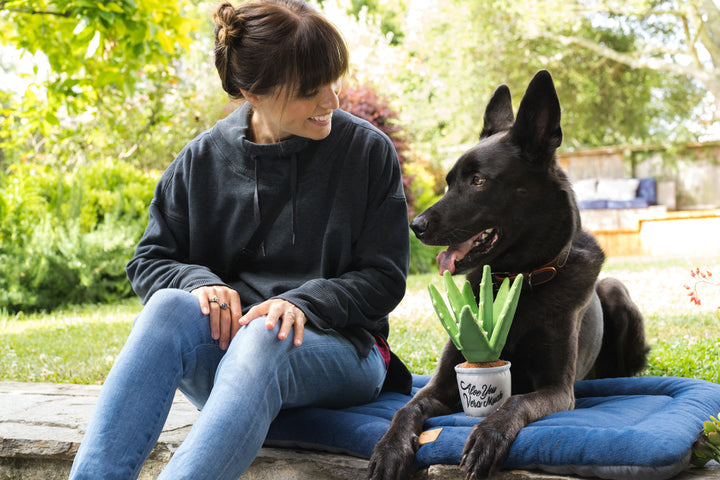 Blooming Buddies - Aloe-ve You Plant