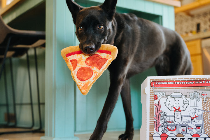 Snack Attack Puppy-roni Pizza Toy