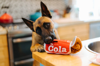 Snack Attack Good Boy Cola Toy