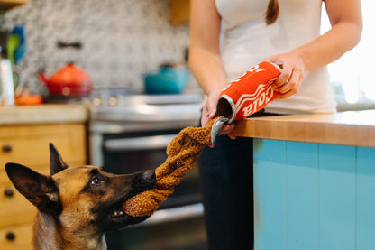 Snack Attack Good Boy Cola Toy