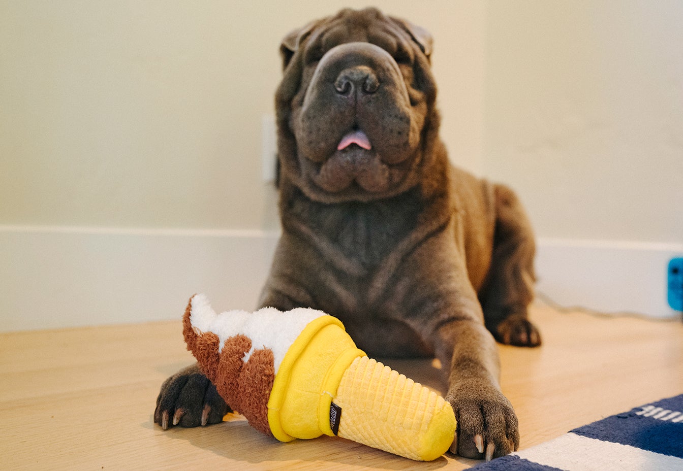 Snack Attack Swirls n Slobbers Soft Serve Toy