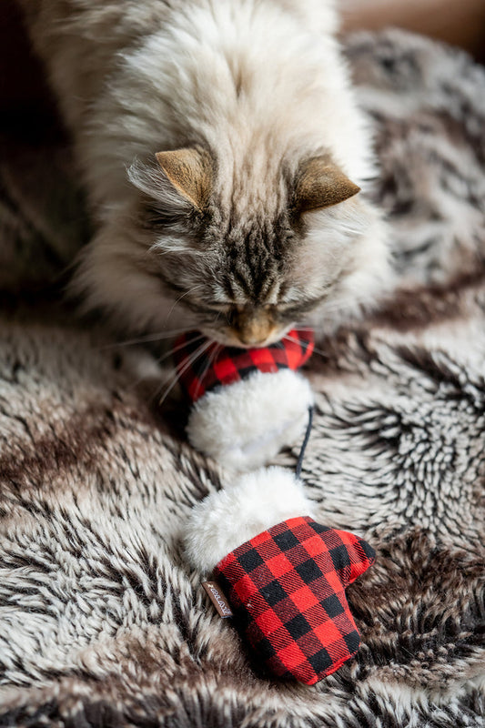 Holiday Cat Toy - Kitten Mittens