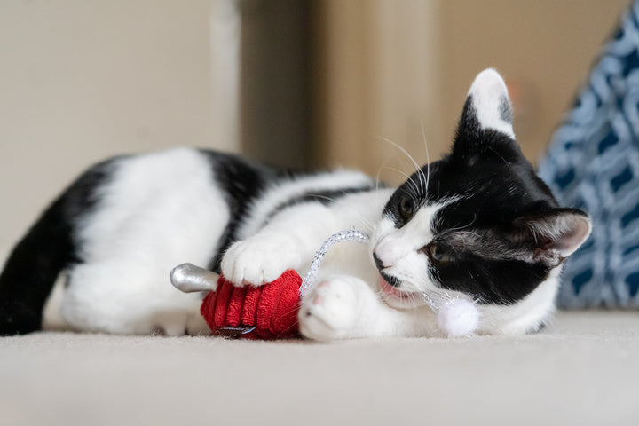 Feline Frenzy Critter Toy - Twice as Mice