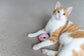 Kitty Kreme Donuts Cat Toy