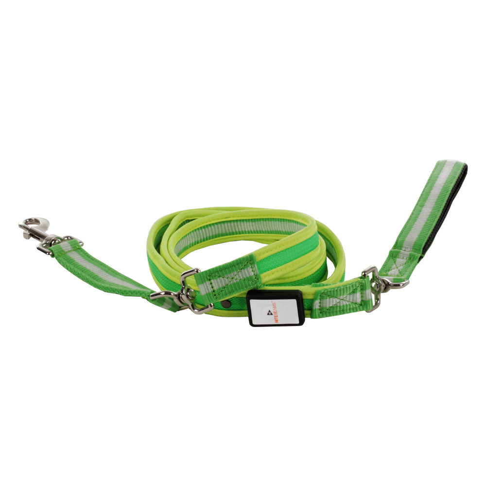 LED USB Rechargeable Dog Leash