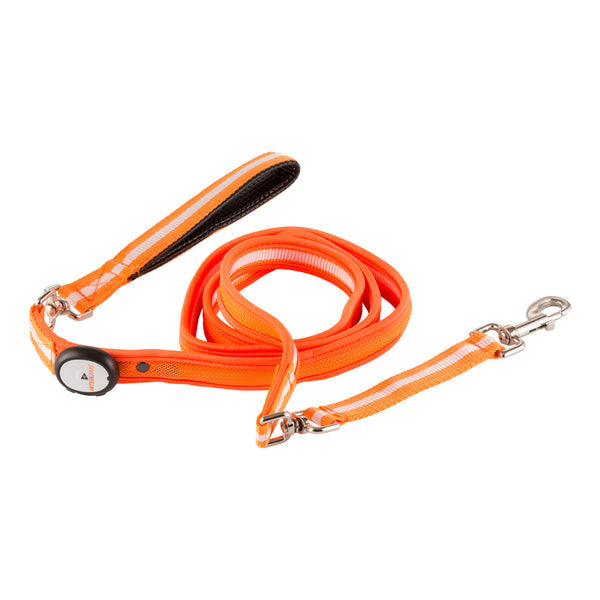 LED USB Rechargeable Dog Leash