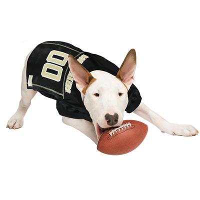 NCAA Purdue Boilermakers Football Jersey