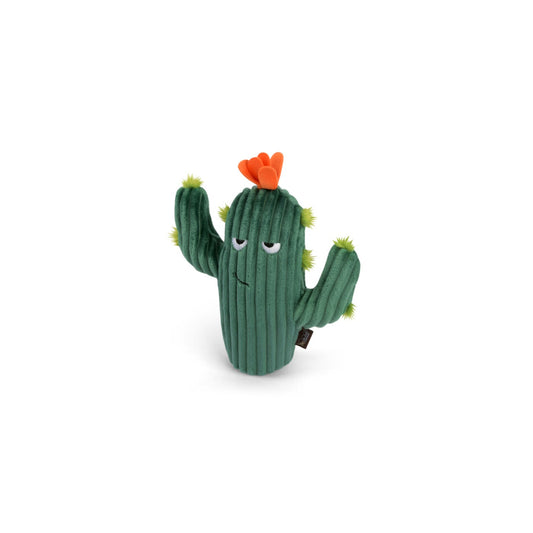 Blooming Buddies - Prickly Pup Cactus