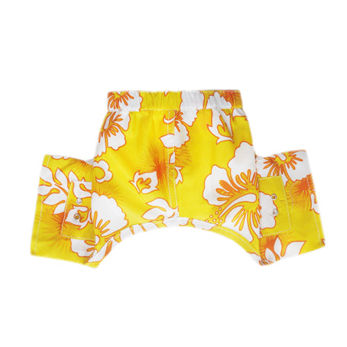 Belize Swim Trunk