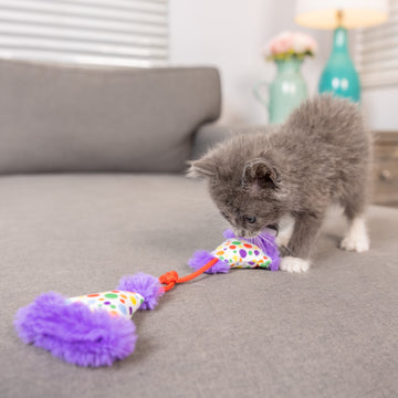 Party Hats Cat Toy