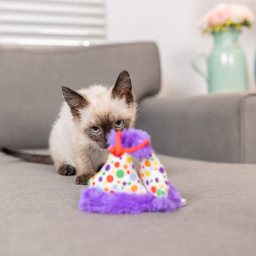 Party Hats Cat Toy