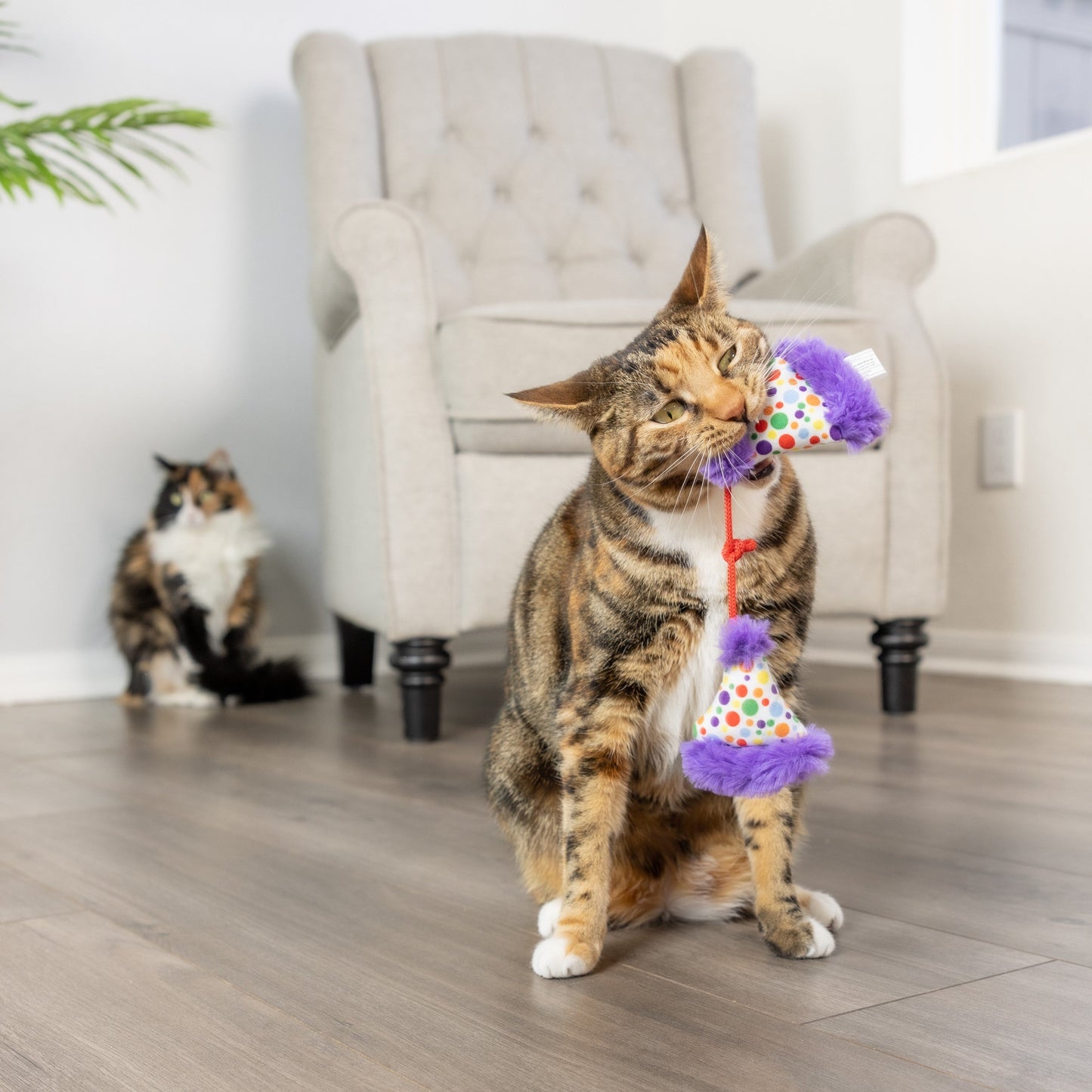 Party Hats Cat Toy