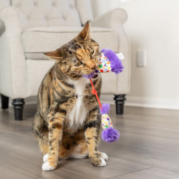 Party Hats Cat Toy