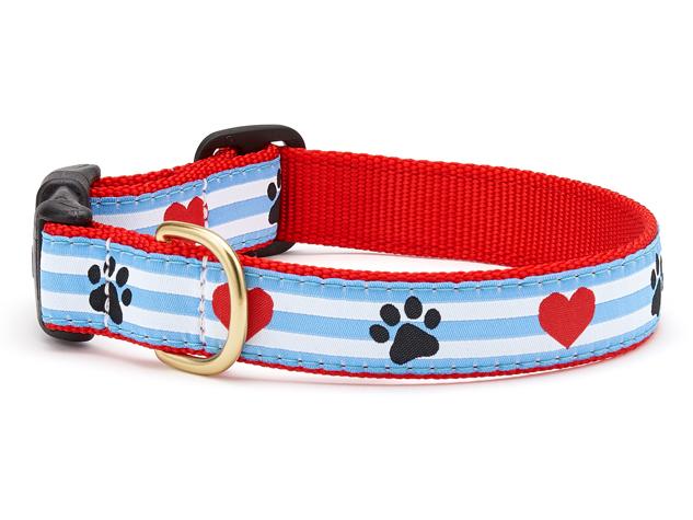 Paw Print Stripe Dog Collar