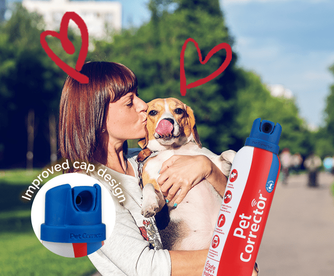 Pet Corrector