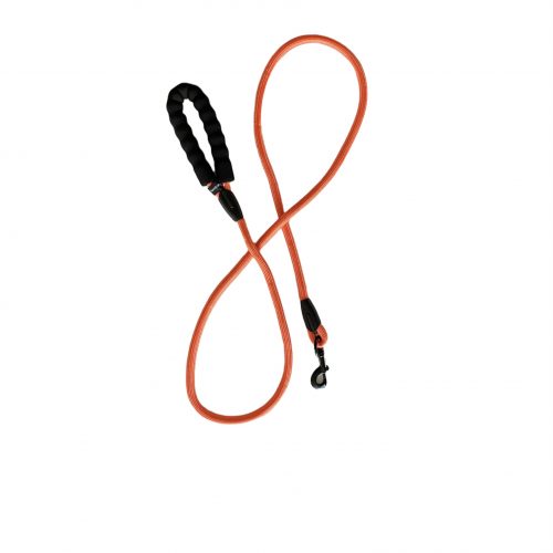 Rope Leash (9 colors)