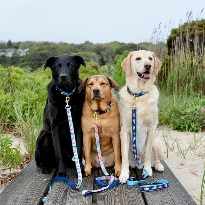 Pink Madras Dog Lead