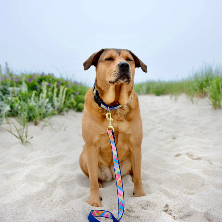 Pink Madras Dog Lead