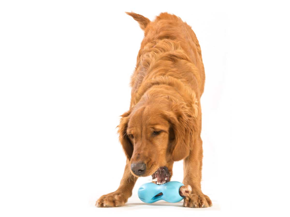 Qwizl Treat Toy