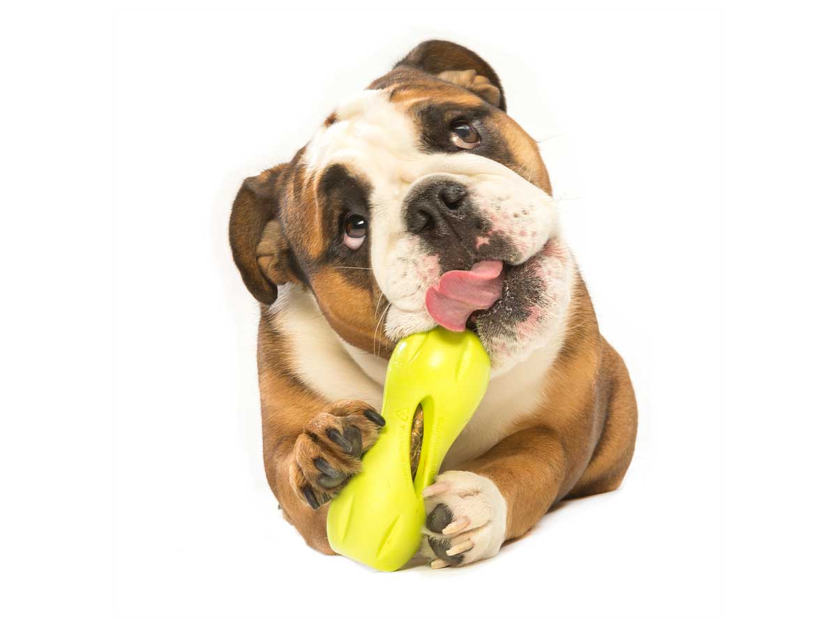 Qwizl Treat Toy