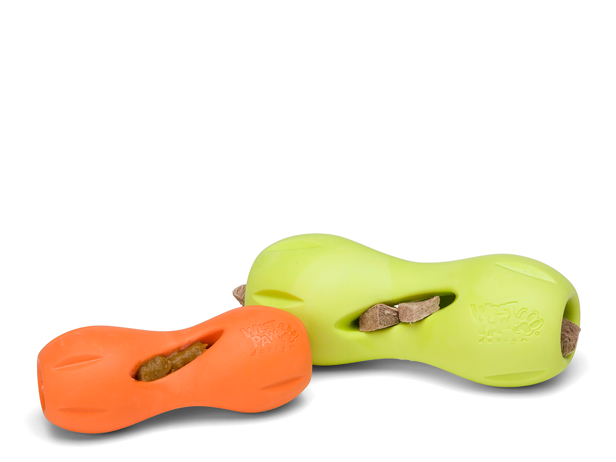 Qwizl Treat Toy
