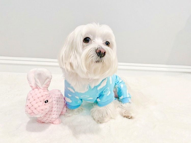 Blue Cloud Pajamas