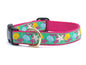 Reef Dog Collar