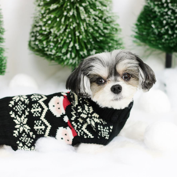 Santa Fairisle Sweater