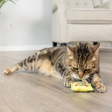 Sour Scratch Kats Cat Toy