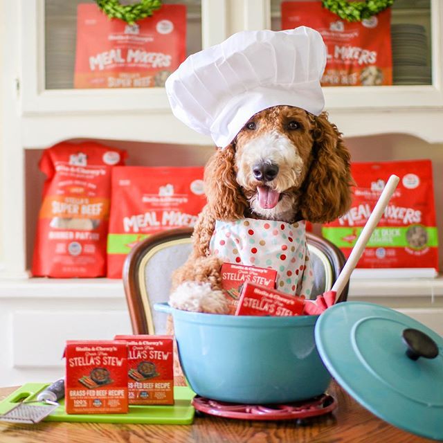 Stella&Chewy's Dog Wet Food - Grass-Fed Beef Stew