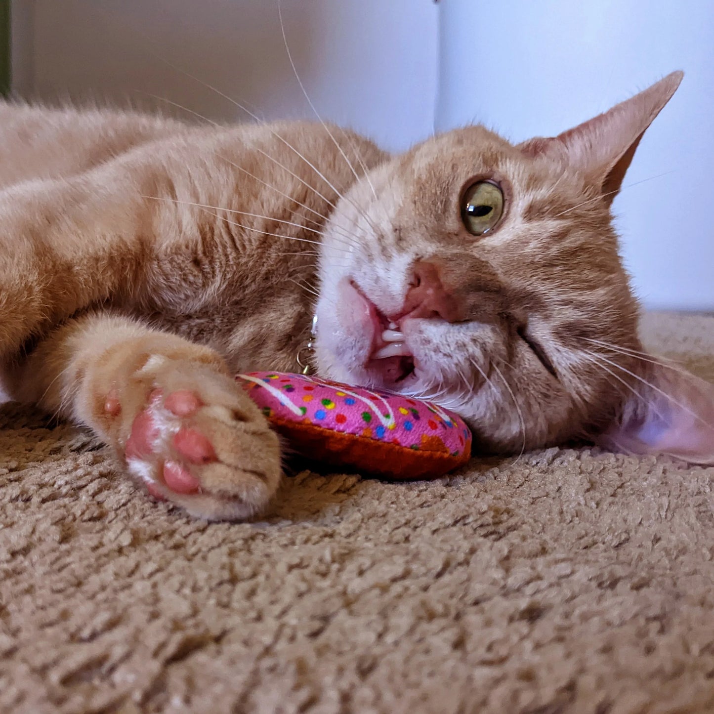 Strawberry Donut Cat Toy