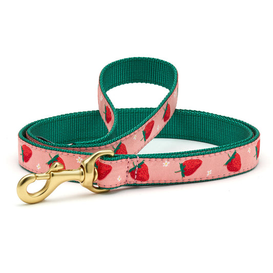 Strawberry Fields Dog Lead