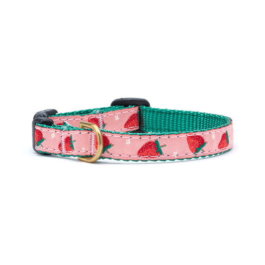 Strawberry Fields Small Breed Dog Collar