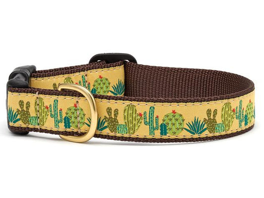 Succulents Dog Collar