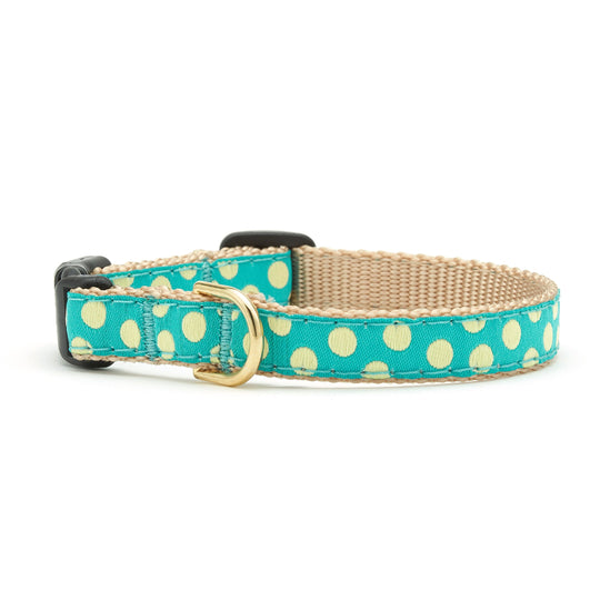 Teal and Yellow Dot Small Breed Dog Collar
