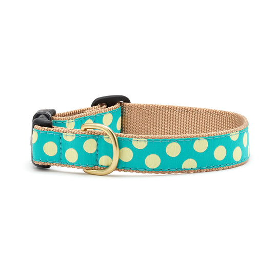 Teal and Yellow Dot Dog Collar