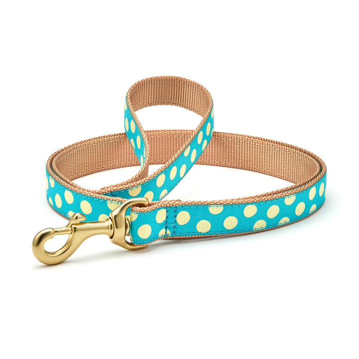 Teal and Yellow Dot Dog Lead