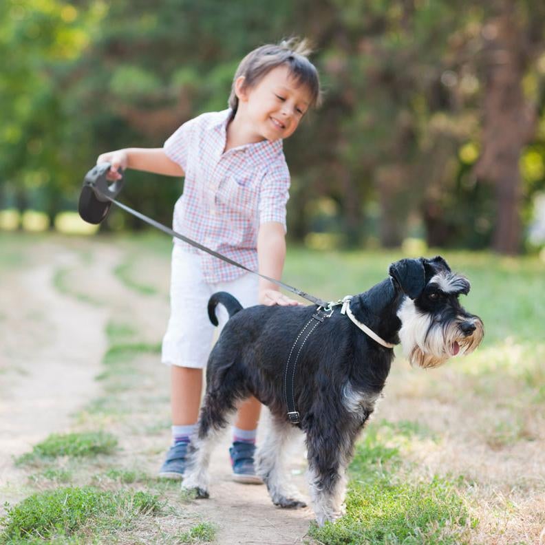 Thunderleash retractable dog leash hot sale