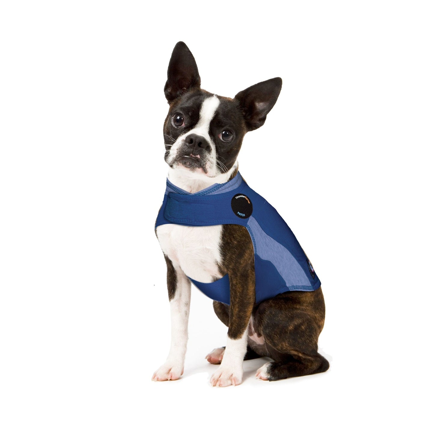 ThunderShirt for Dogs - Blue Polo XS