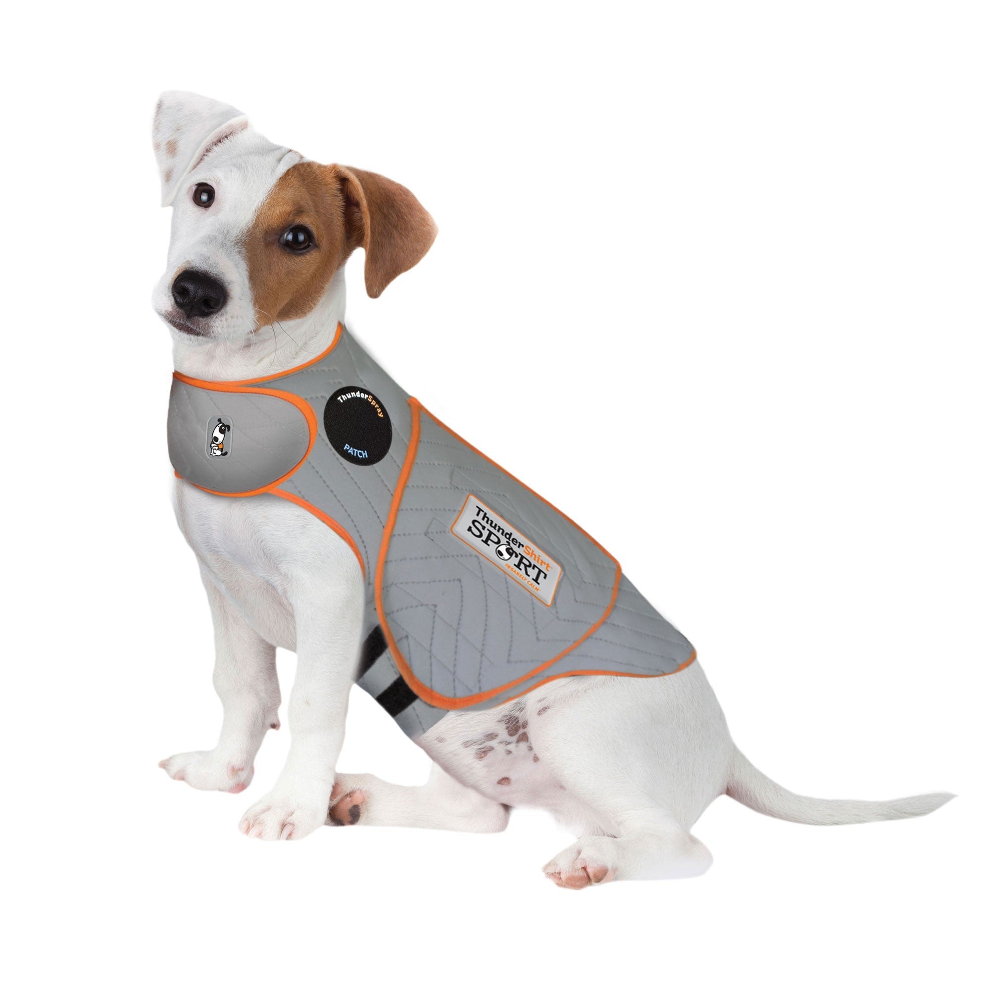 Thunder shirts for dogs online