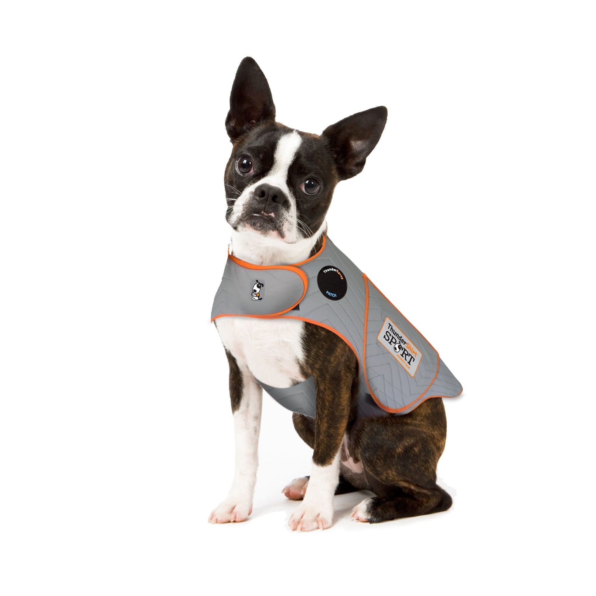 Thundershirt for dogs reviews outlet