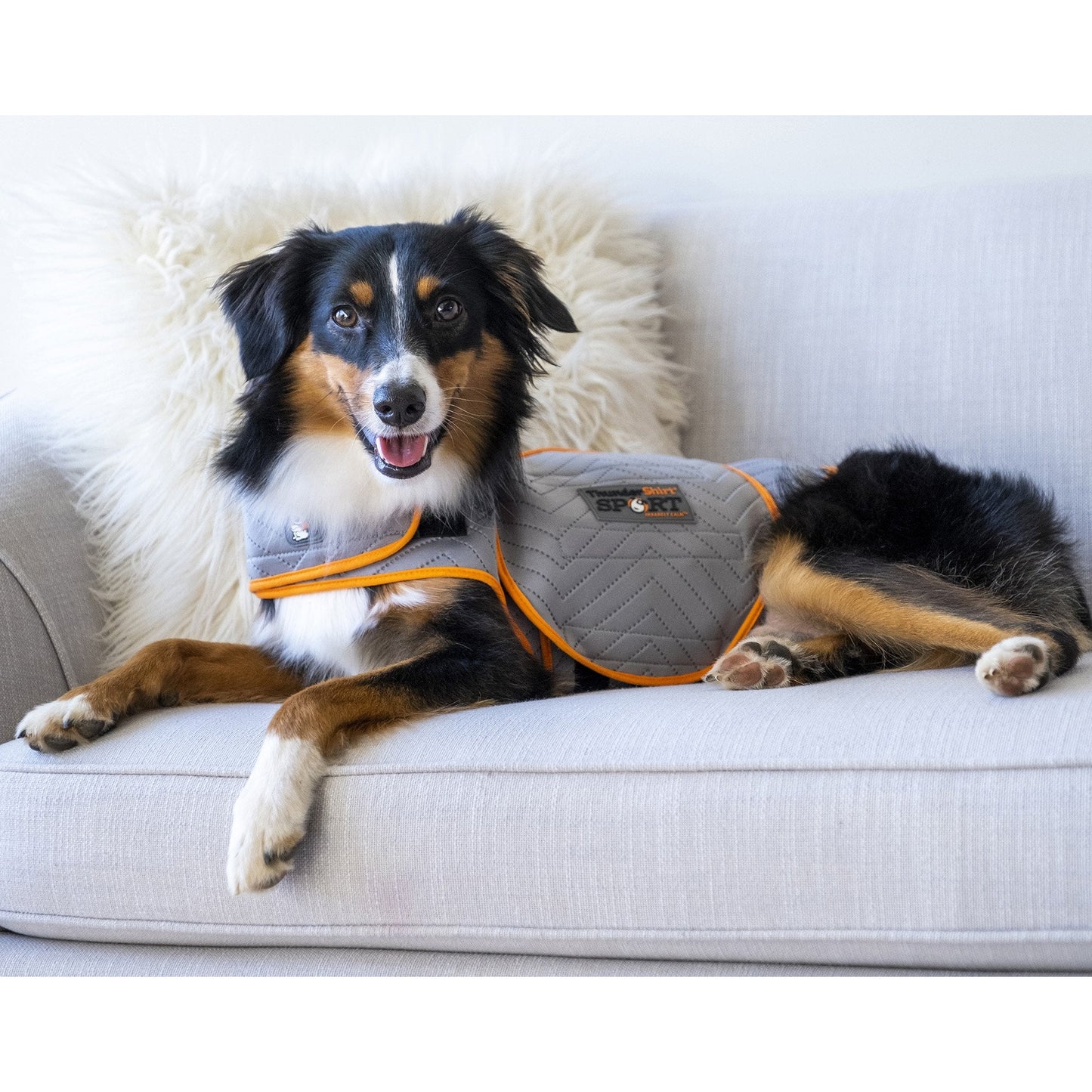 ThunderShirt for Dogs - Platinum Sport