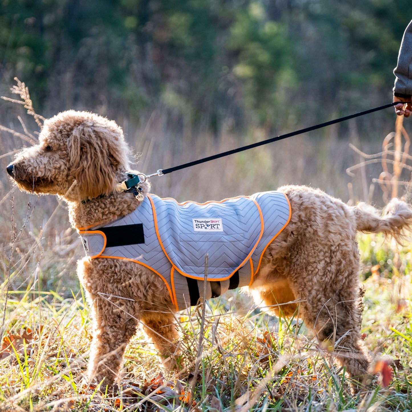 ThunderShirt for Dogs - Platinum Sport