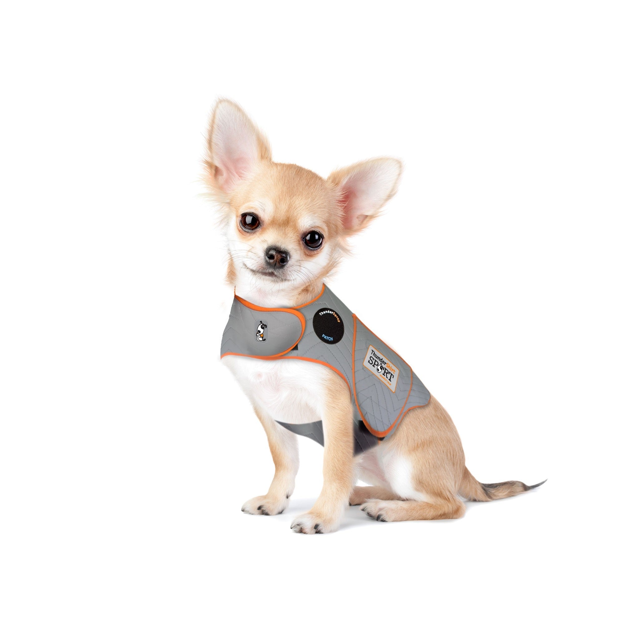 Chewy thundershirt clearance