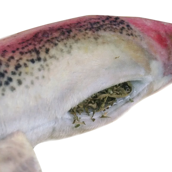 Get Smoked Refillable Rainbow Trout