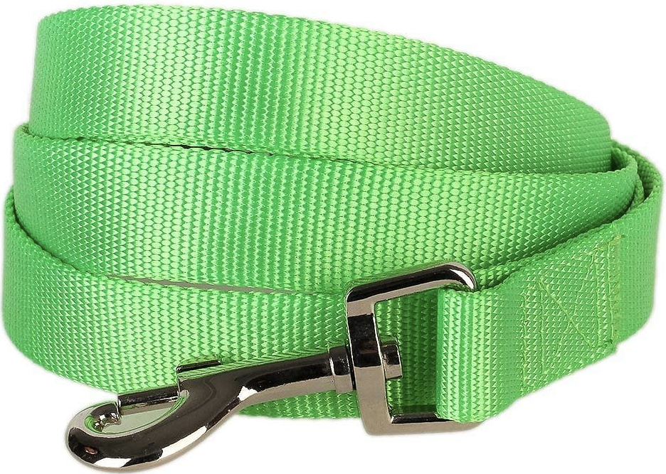 Active Dog Nylon Leash Green